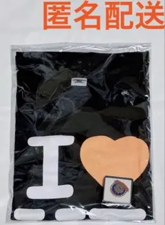 HONEST TOWN アプグレTシャツ＆ピンバッジ