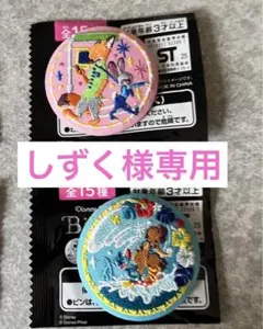 ディズニー刺繍缶バッジ