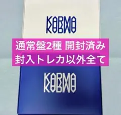 Stray Kids スキズ KARMA 通常盤 開封済み 2種セット