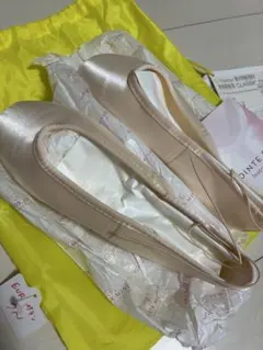 2025年最新】ゲイナーミンデン トゥシューズの人気アイテム - メルカリ