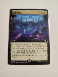 かーにばる様 リクエスト 2点 まとめ商品