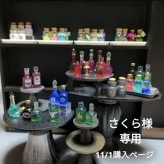 さくら様専用　11/1購入ページ