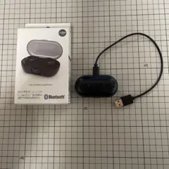 True Wireless Earphones ブラック