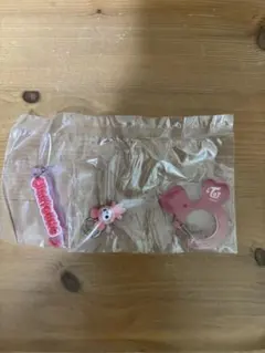 TWICE LOVELYSアクリルカラビナフロッキーマスコット　チェヨン