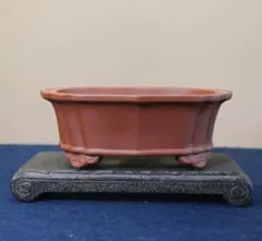 花器 多肉植物鉢 紫砂鉢 盆栽鉢 植木鉢 小品盆栽鉢 大品盆栽鉢 - メルカリ