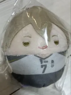 【ハイキュー】くじメイト ふわころりん D賞 木葉秋紀