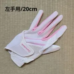 グローブ レディースウェア