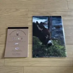 新品 미사용 비매품 オーパラディ メモ帳とA5クリアファイル