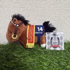 Item thumbnail for item c61ddbd5-8f03-498d-b42c-991e31023b3b