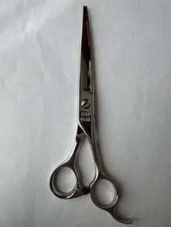 Item thumbnail for item 076314ed-5171-4223-8f61-a94c515ccafd