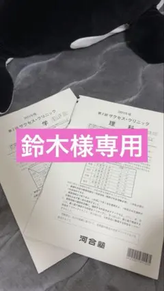 2026年最新】河合塾 サクセスクリニック 第2回の人気アイテム - メルカリ