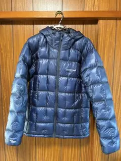 Item thumbnail for item 1f761eef-038e-43f1-ab6a-9f58129a397b