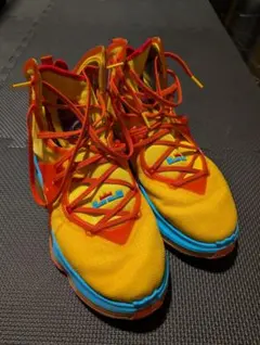 NIKE LEBRON 19 レブロン19 スペースプレイヤーズ 30cm - メルカリ