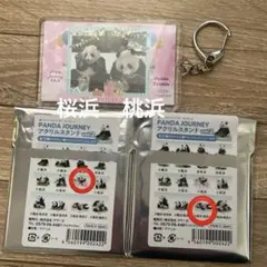 Item thumbnail for item 56269341-15ff-4e61-bc7b-2eddac3145c7