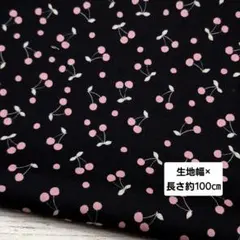 綿生地 シーチング 小さなさくらんぼ柄 ブラック 1m