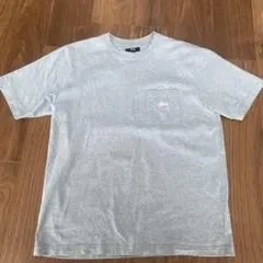 早い物勝ち！stussy tシャツ