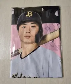 Item thumbnail for item afe47102-8650-4549-93b2-eaa7f6dd44d2