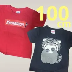 キッズTシャツ 100 2枚セット くまモン 神戸どうぶつ王国　赤黒のサムネイル
