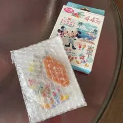 ☆未使用品☆ TDR サニーサニーサマー キーチェーン ドナルド