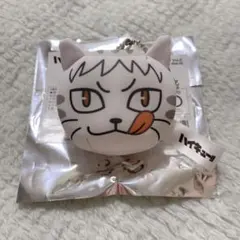 ハイキュー 夜久衛輔 ミニビーズクッション 動物マスコットTOHO