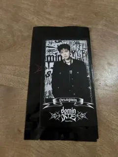 straykids スンミン ラントレ ソウルコン dominATE