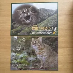 Item thumbnail for item 780f8921-d715-490c-b359-28429ce4de6f