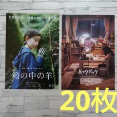 箱の中の羊　ルックバック　是枝裕和　チラシ　フライヤー　20枚セット