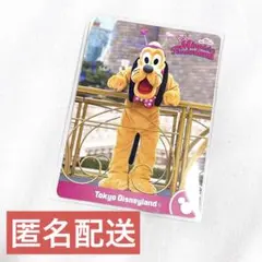 ミニーのファンダーランド パルパルーザ コレクションカード プルート