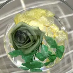 あおまりん様 リクエスト 3点 まとめ商品