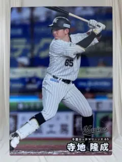 寺地隆成 ユニフォーム 千葉ロッテマリーンズ Mサイズ 寺地選手、山本大選手レプリカユニホーム(ホーム)販売開始のお知らせ