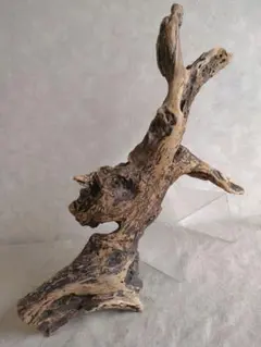 パルダリウム・止まり木・アクアリウム・DIY向け風化枝分かれ流木 約45cm