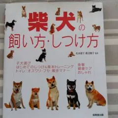 Item thumbnail for item 656a5d22-b779-4dde-806d-8e2cf5903a49