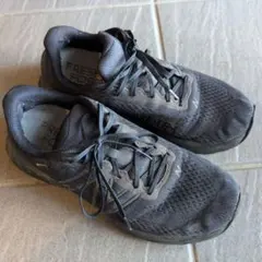 Item thumbnail for item 311eb229-a59e-4634-aec9-55c0da5a38df