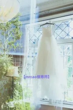 2025年最新】オクタヴィア ヴェラウォン us2の人気アイテム