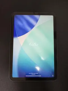 iPad mini6 Wi-Fiモデル 256GB スペースグレイ　美品