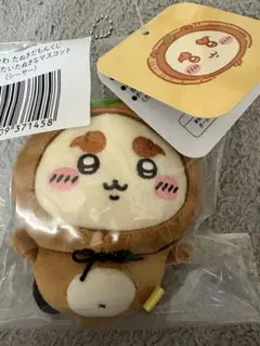 たぬきだもん　シーサー　C賞　①