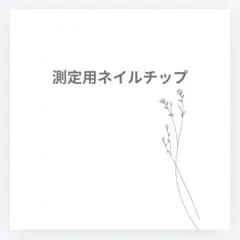 ネイルチップ　サイズ測定用