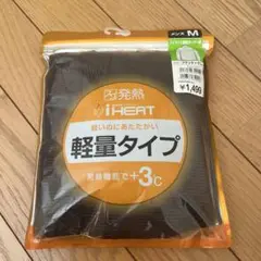 イグニオ アイヒート ハイネック メンズ　長袖ボーダーシャツ M