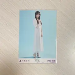 乃木坂46 矢田萌華 真夏の全国ツアー2025 special ヒキ 生写真