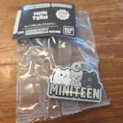 あんころもち　プロフお読みください様 リクエスト 3点 まとめ商品