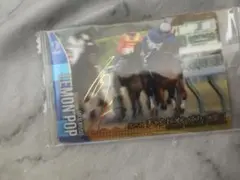 2026年最新】レモンポップ 馬の人気アイテム - メルカリ