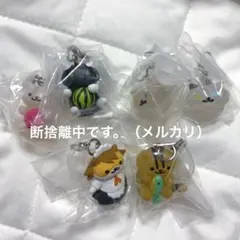 ねこあつめ2 めじるしアクセサリー まとめ売り