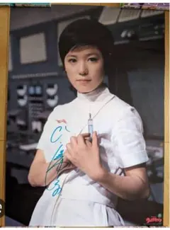 ひし美ゆり子　友理アンヌ隊員　直筆サイン入りB2版ポスター 2026年最新】ひし美ゆり子サインの人気アイテム - メルカリ