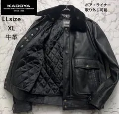 Item thumbnail for item 5f47687d-4bba-473b-935c-e2b38de85d89