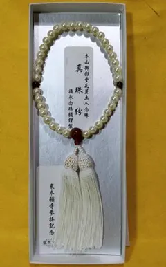 Item thumbnail for item 613c2f58-f1f3-4413-8032-572459728020