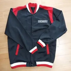 Item thumbnail for item 06c941e2-cc6a-4dc6-81d2-f5038eb52071