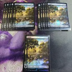 MTG 桃源郷の探求者、チョコ チョコボトラックFoil 英語版 - メルカリ