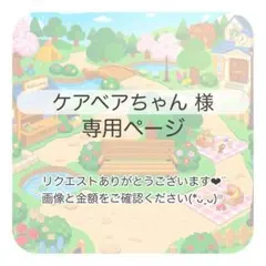 ケアベアちゃん様 おまとめ3点