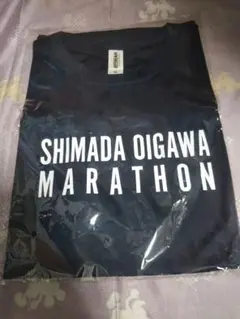 Item thumbnail for item ef4653a8-6864-44d9-ac9a-659dff2205a8