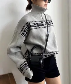 SHAGGIE シャギー ジップアップグレーセーターのサムネイル